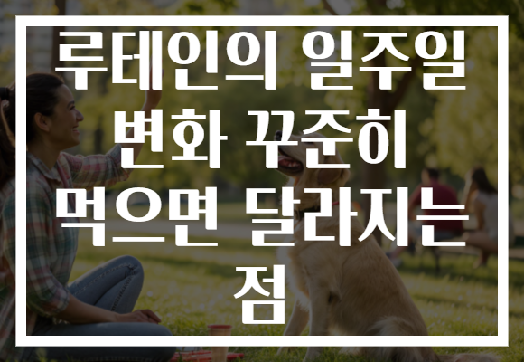 루테인의 일주일 변화 꾸준히 먹으면 달라지는 점