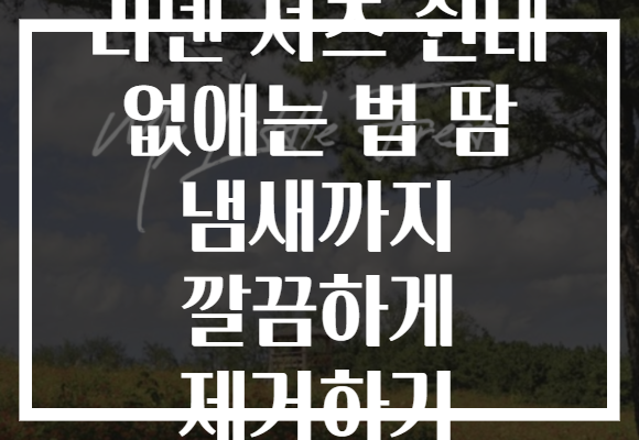 리넨 셔츠 쉰내 없애는 법 땀 냄새까지 깔끔하게 제거하기