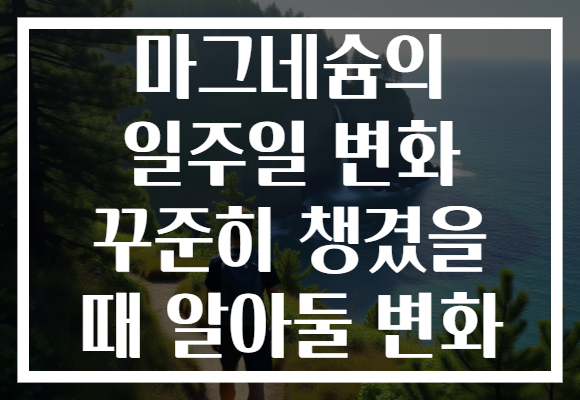 마그네슘의 일주일 변화 꾸준히 챙겼을 때 알아둘 변화