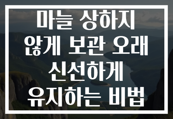마늘 상하지 않게 보관 오래 신선하게 유지하는 비법