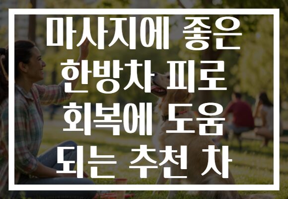 마사지에 좋은 한방차 피로 회복에 도움 되는 추천 차