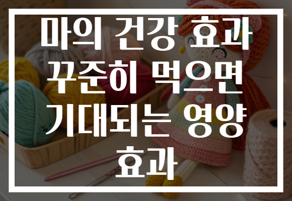 마의 건강 효과 꾸준히 먹으면 기대되는 영양 효과
