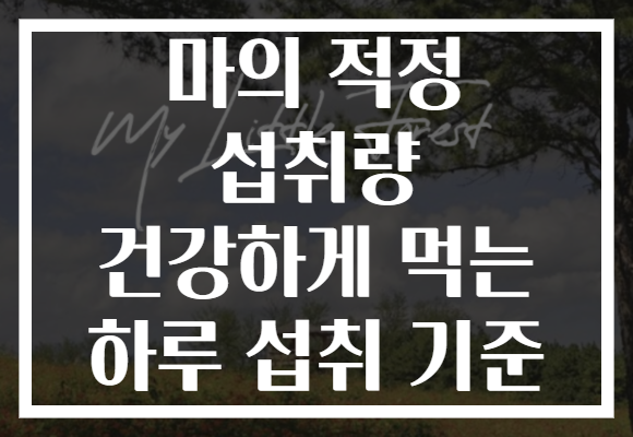 마의 적정 섭취량 건강하게 먹는 하루 섭취 기준