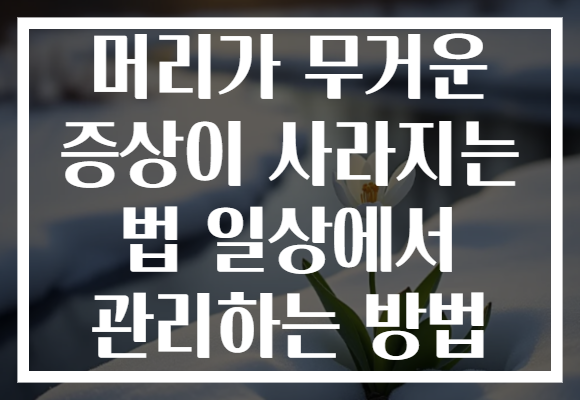 머리가 무거운 증상이 사라지는 법 일상에서 관리하는 방법