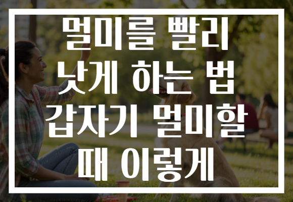 멀미를 빨리 낫게 하는 법 갑자기 멀미할 때 이렇게