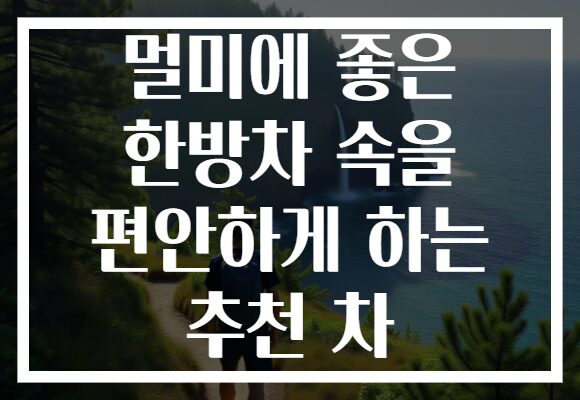 멀미에 좋은 한방차 속을 편안하게 하는 추천 차