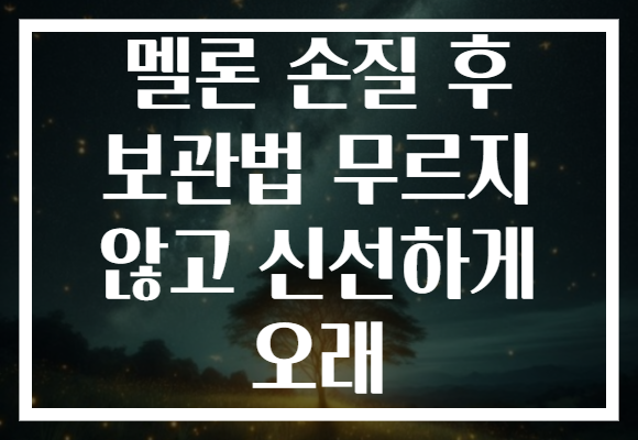 멜론 손질 후 보관법 무르지 않고 신선하게 오래