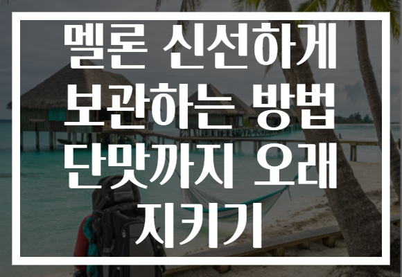 멜론 신선하게 보관하는 방법 단맛까지 오래 지키기