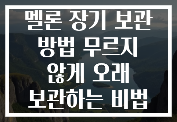 멜론 장기 보관 방법 무르지 않게 오래 보관하는 비법