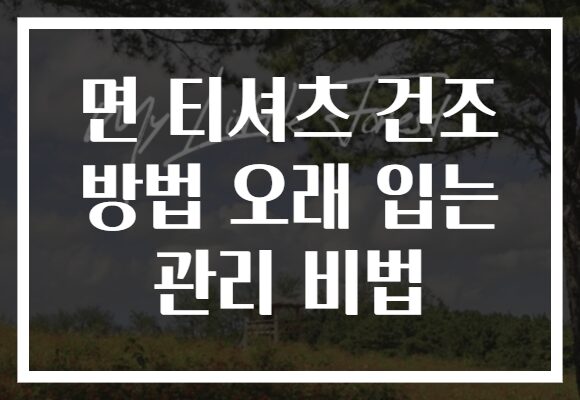 면 티셔츠 건조 방법 오래 입는 관리 비법