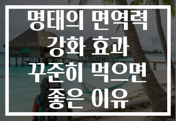 명태의 면역력 강화 효과 꾸준히 먹으면 좋은 이유