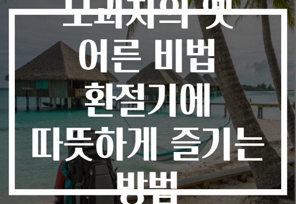 모과차의 옛 어른 비법 환절기에 따뜻하게 즐기는 방법