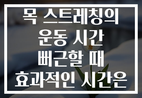 목 스트레칭의 운동 시간 뻐근할 때 효과적인 시간은