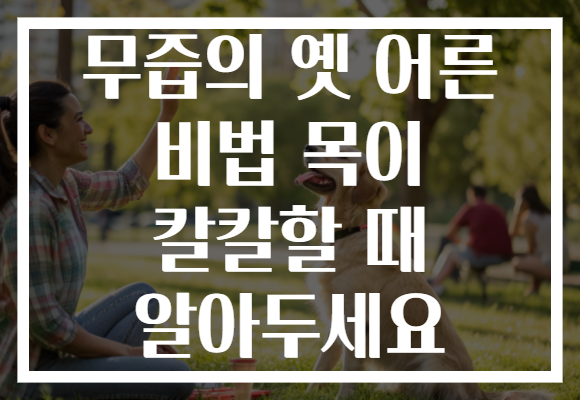 무즙의 옛 어른 비법 목이 칼칼할 때 알아두세요