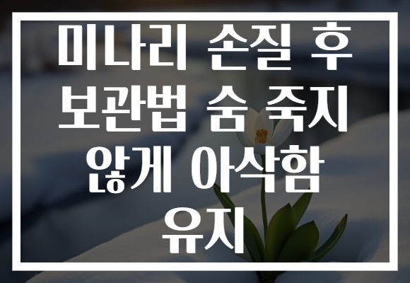 미나리 손질 후 보관법 숨 죽지 않게 아삭함 유지