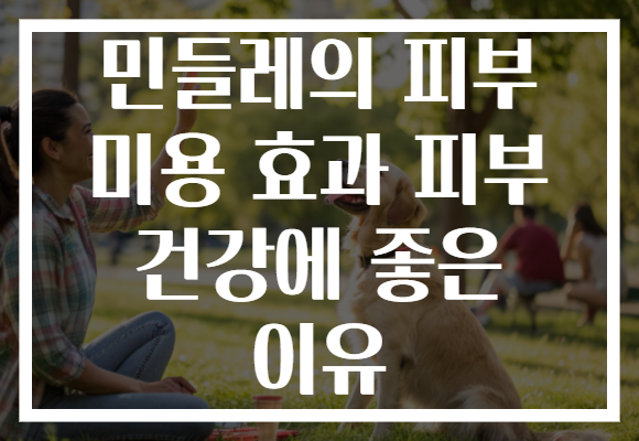 민들레의 피부 미용 효과 피부 건강에 좋은 이유
