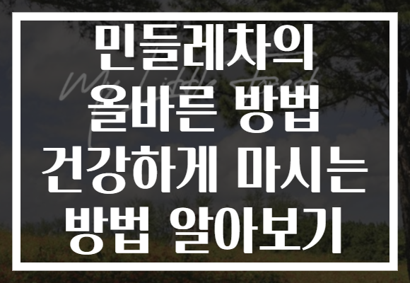 민들레차의 올바른 방법 건강하게 마시는 방법 알아보기