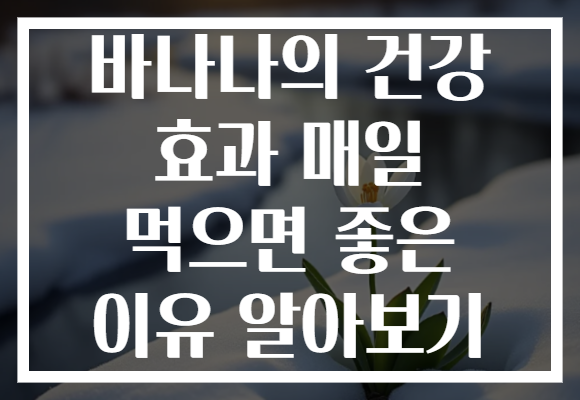 바나나의 건강 효과 매일 먹으면 좋은 이유 알아보기