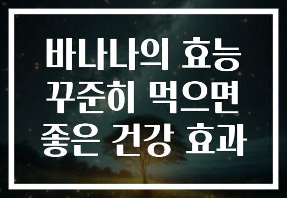 바나나의 효능 꾸준히 먹으면 좋은 건강 효과