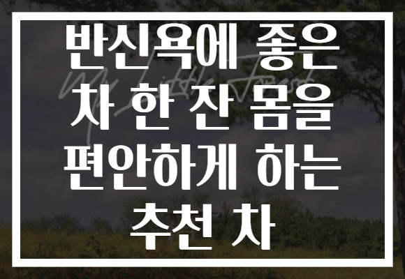 반신욕에 좋은 차 한 잔 몸을 편안하게 하는 추천 차