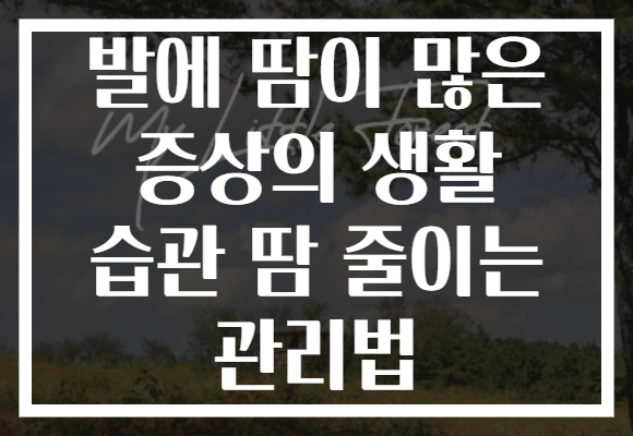 발에 땀이 많은 증상의 생활 습관 땀 줄이는 관리법