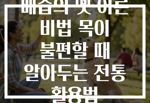배즙의 옛 어른 비법 목이 불편할 때 알아두는 전통 활용법