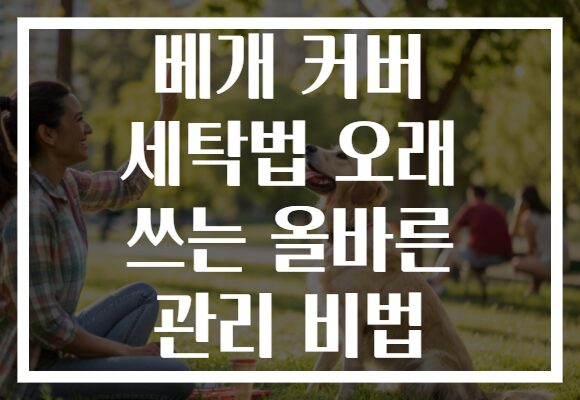 베개 커버 세탁법 오래 쓰는 올바른 관리 비법