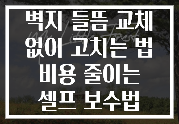 벽지 들뜸 교체 없이 고치는 법 비용 줄이는 셀프 보수법
