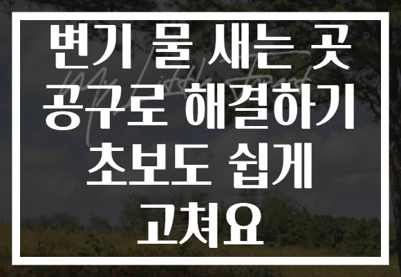 변기 물 새는 곳 공구로 해결하기 초보도 쉽게 고쳐요