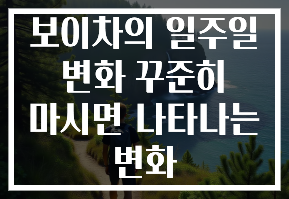 보이차의 일주일 변화 꾸준히 마시면 나타나는 변화