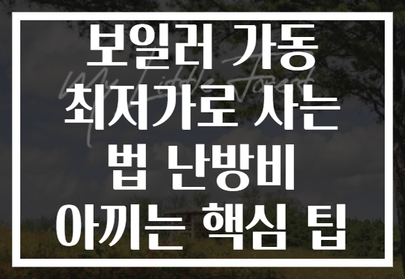 보일러 가동 최저가로 사는 법 난방비 아끼는 핵심 팁
