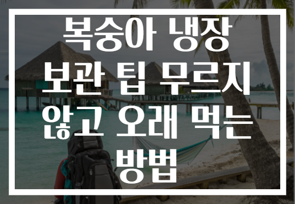복숭아 냉장 보관 팁 무르지 않고 오래 먹는 방법