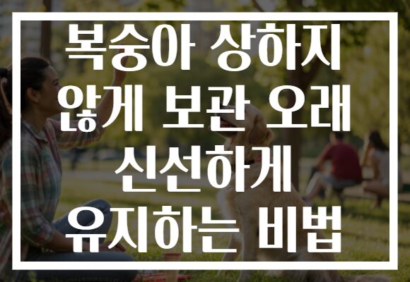 복숭아 상하지 않게 보관 오래 신선하게 유지하는 비법