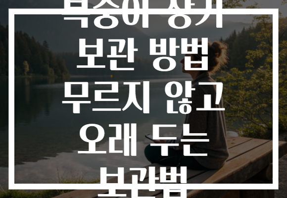 복숭아 장기 보관 방법 무르지 않고 오래 두는 보관법