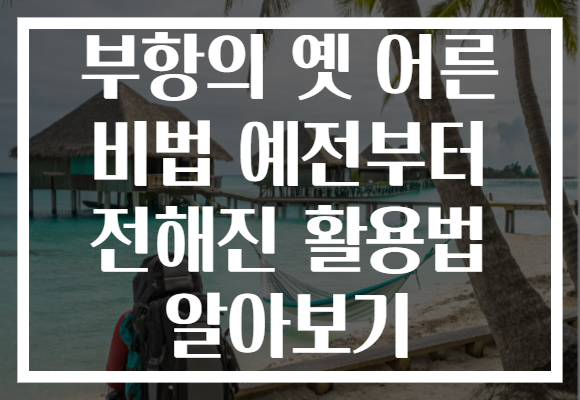 부항의 옛 어른 비법 예전부터 전해진 활용법 알아보기