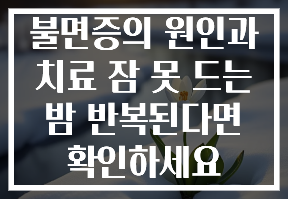불면증의 원인과 치료 잠 못 드는 밤 반복된다면 확인하세요