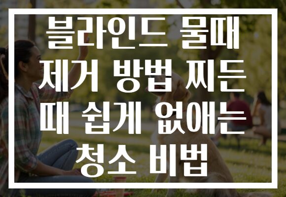 블라인드 물때 제거 방법 찌든 때 쉽게 없애는 청소 비법