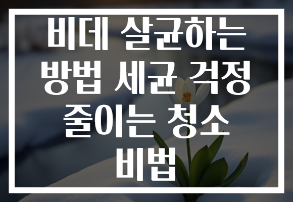 비데 살균하는 방법 세균 걱정 줄이는 청소 비법