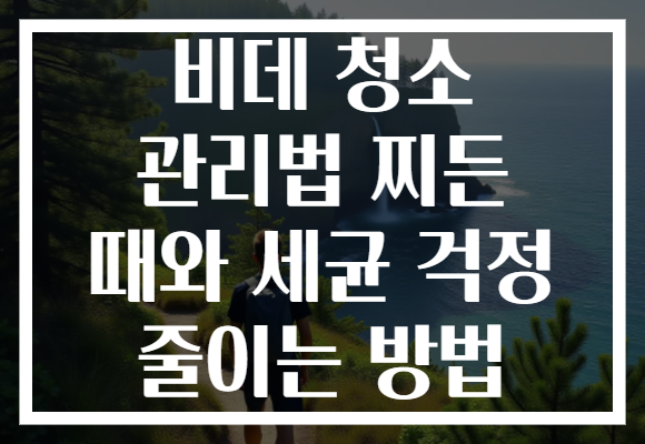 비데 청소 관리법 찌든 때와 세균 걱정 줄이는 방법