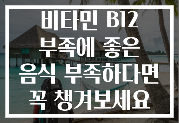 비타민 B12 부족에 좋은 음식 부족하다면 꼭 챙겨보세요