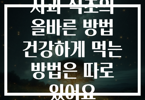 사과 식초의 올바른 방법 건강하게 먹는 방법은 따로 있어요