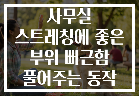 사무실 스트레칭에 좋은 부위 뻐근함 풀어주는 동작