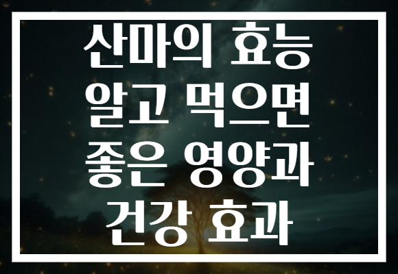 산마의 효능 알고 먹으면 좋은 영양과 건강 효과