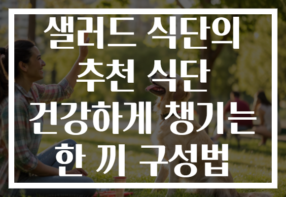 샐러드 식단의 추천 식단 건강하게 챙기는 한 끼 구성법