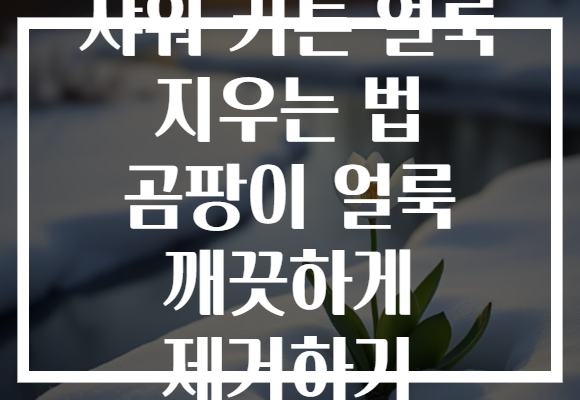 샤워 커튼 얼룩 지우는 법 곰팡이 얼룩 깨끗하게 제거하기