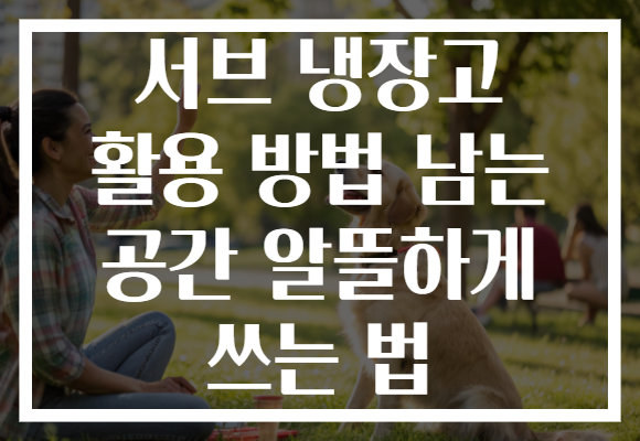 서브 냉장고 활용 방법 남는 공간 알뜰하게 쓰는 법
