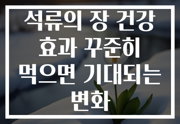 석류의 장 건강 효과 꾸준히 먹으면 기대되는 변화