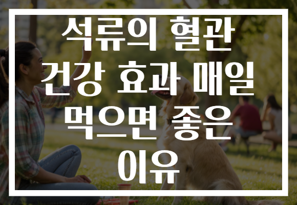 석류의 혈관 건강 효과 매일 먹으면 좋은 이유
