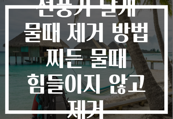 선풍기 날개 물때 제거 방법 찌든 물때 힘들이지 않고 제거