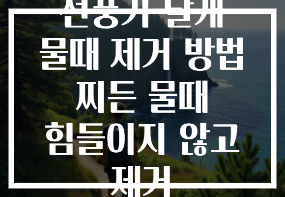 선풍기 날개 물때 제거 방법 찌든 물때 힘들이지 않고 제거